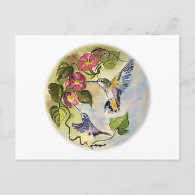 Humming Vögel Postkarte (Vorderseite)