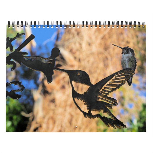 HUMMINGBIRD 2022 Kalender (Titelbild)
