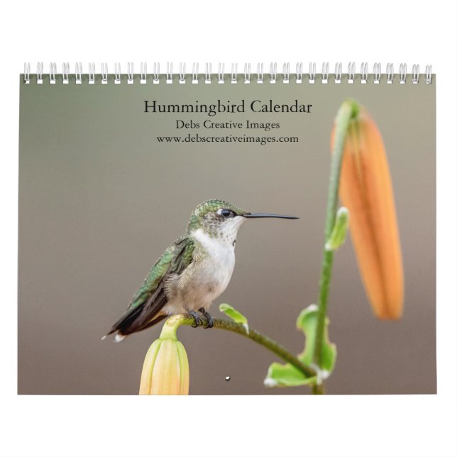 Hummingbird 2026 kalender (Titelbild)