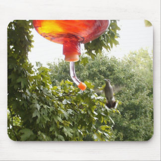 Hummingbird 2, Mousepad