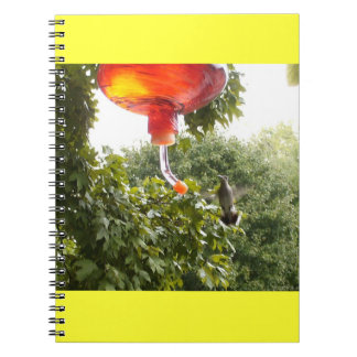 Hummingbird 2 Notebook Notizblock