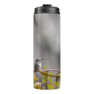 Hummingbird 3346 thermosbecher