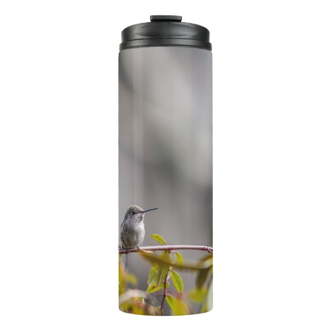 Hummingbird 3346 thermosbecher (Vorderseite)