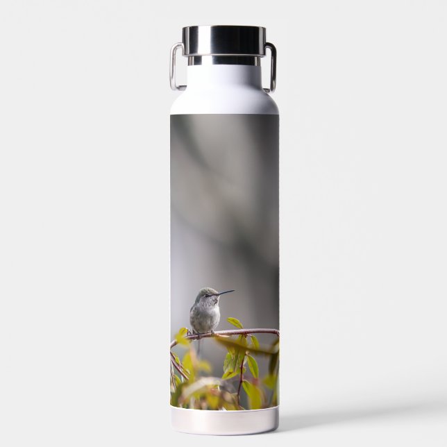 Hummingbird 3346 trinkflasche (Vorne)
