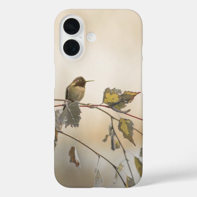 Hummingbird 5265 Case-Mate iPhone hülle (Rückseite)