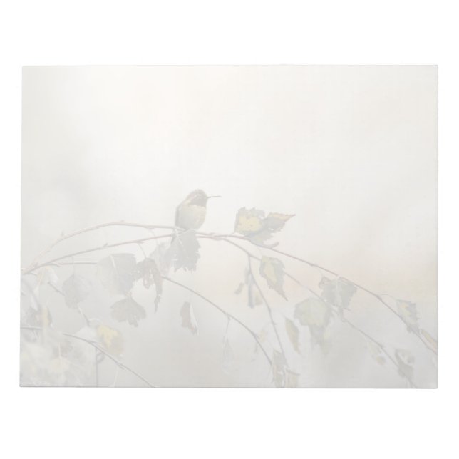 Hummingbird 5265 notizblock (Vorderseite)