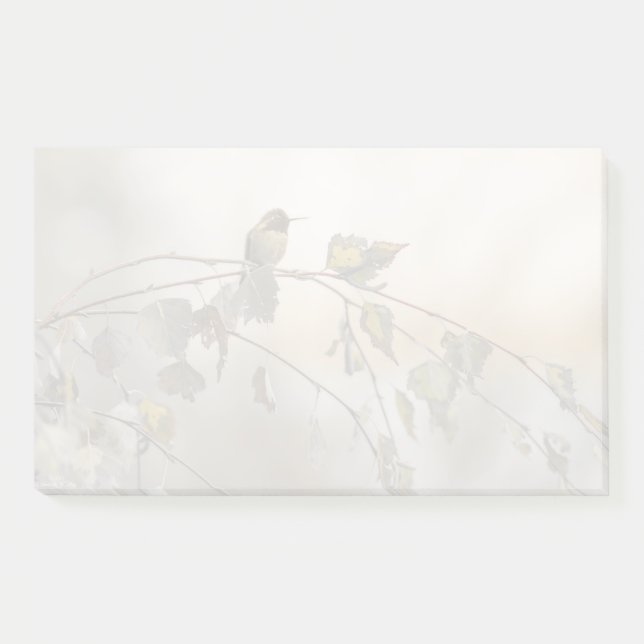 Hummingbird 5265 post-it klebezettel (Vorderseite)
