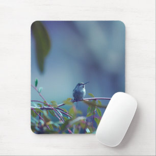 Hummingbird 5738 mousepad