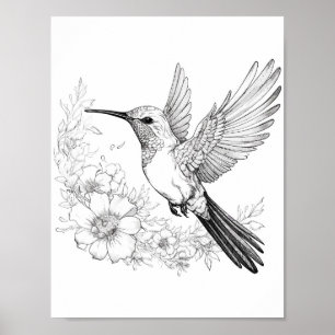 Hummingbird Adult Coloring Poster
