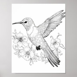 Hummingbird Adult Coloring Poster