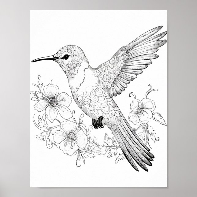 Hummingbird Adult Coloring Poster (Vorne)