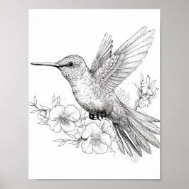 Hummingbird Adult Coloring Poster