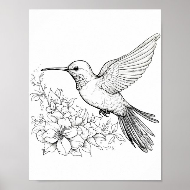 Hummingbird Adult Coloring Poster (Vorne)