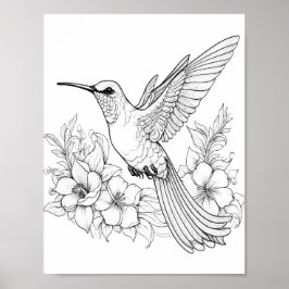 Hummingbird Adult Coloring Poster