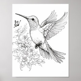 Hummingbird Adult Coloring Poster