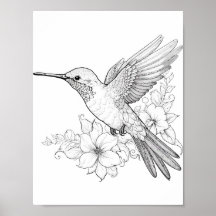 Hummingbird Adult Coloring