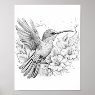 Hummingbird Adult Coloring Poster