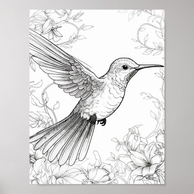Hummingbird Adult Coloring Poster (Vorne)