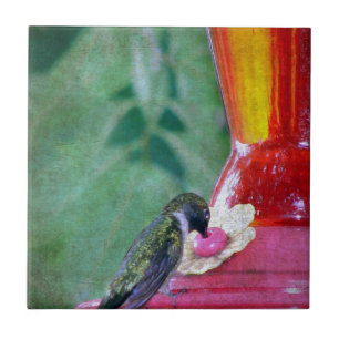 Hummingbird am Feeder Fliese