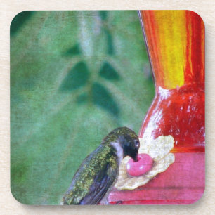 Hummingbird am Feeder Untersetzer