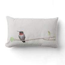 Hummingbird am Zweig