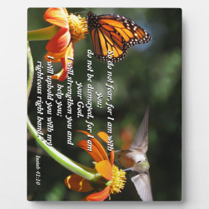 Hummingbird Animal Blume Isaiah Foto Plaque Fotoplatte