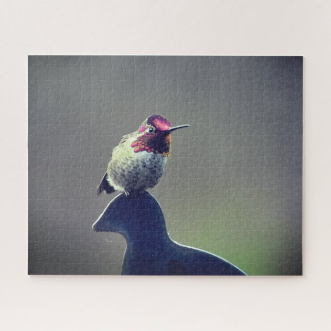 Hummingbird Anna Puzzle (Horizontal)