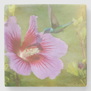 Hummingbird Ansammlung Nectar Stone Untersetzer