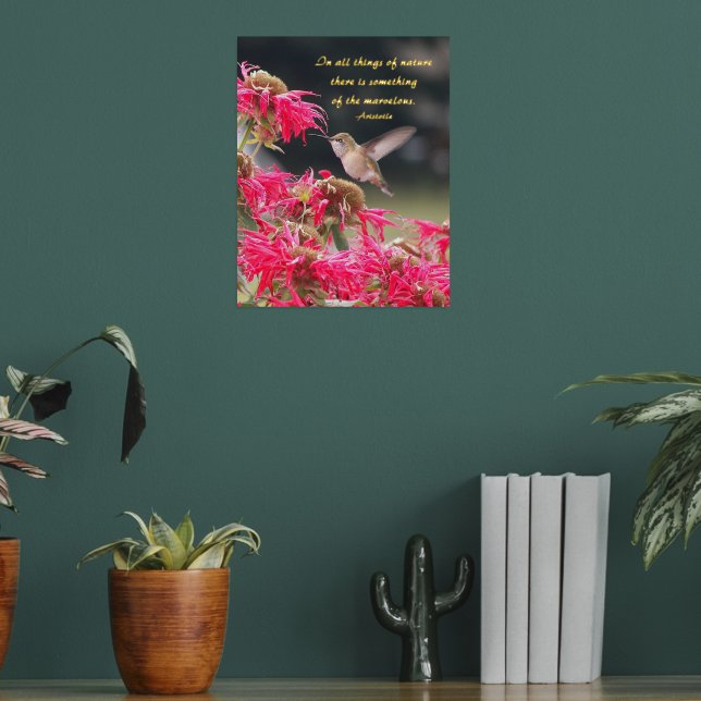 Hummingbird Aristoteles Philosophisches Zitat Foliendrucke (In Situ (Wohnzimmer 2))