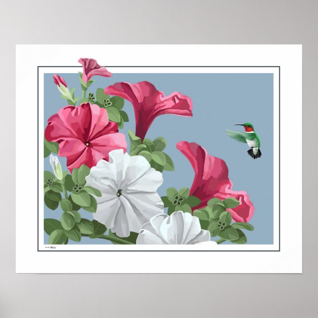Hummingbird Art Poster (Vorne)