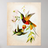 Hummingbird Artwork Nr. 15 Vintage Vogelkunst