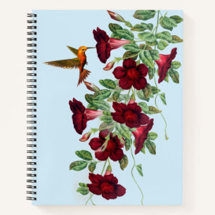 Hummingbird auf Blume von Red Mandevillea Notizbuch