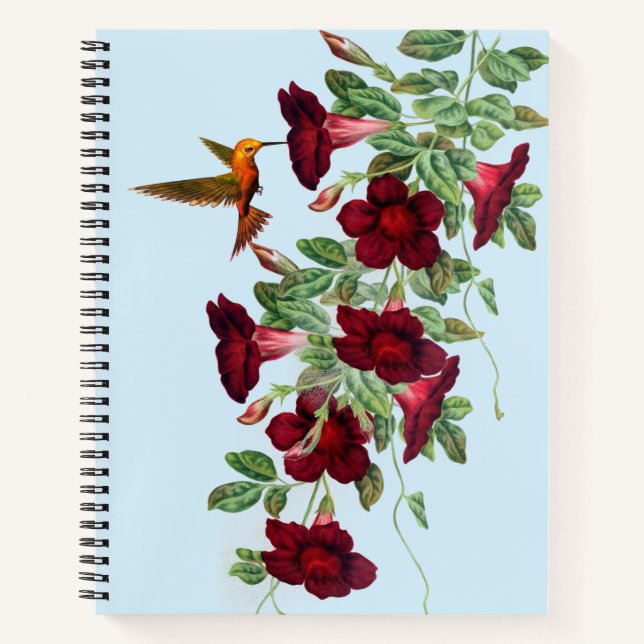 Hummingbird auf Blume von Red Mandevillea Notizbuch (Vorderseite)