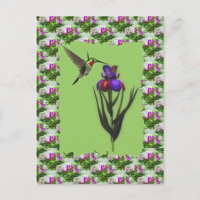 Hummingbird auf der Iris-Blume Postkarte (Vorderseite)