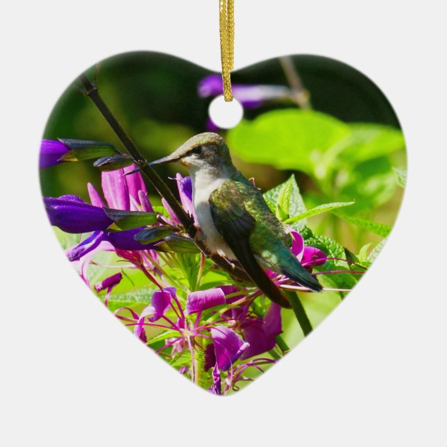 Hummingbird auf der Minze von Hummingbird Keramik Ornament (Vorne)