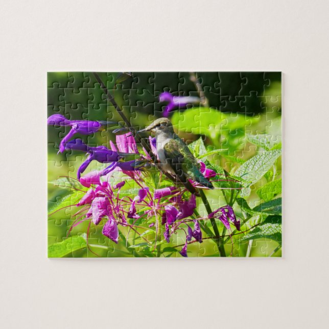 Hummingbird auf der Minze von Hummingbird Puzzle (Horizontal)