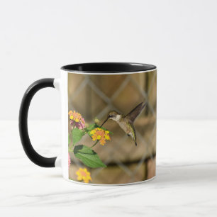 Hummingbird auf der Tasse Lantana 11 oz
