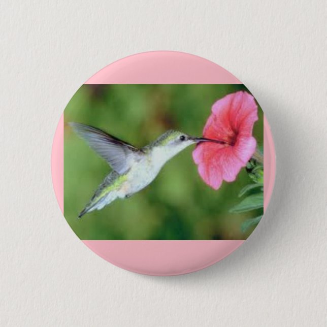 Hummingbird auf einem Round-Button Button (Vorderseite)