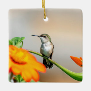 Hummingbird auf einer blühenden Pflanze Keramikornament