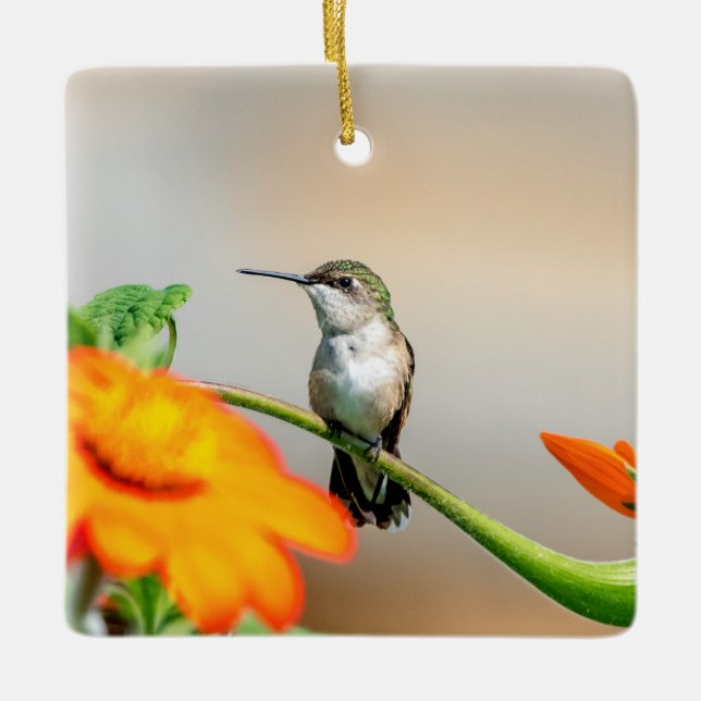 Hummingbird auf einer blühenden Pflanze Keramikornament (Vorderseite)