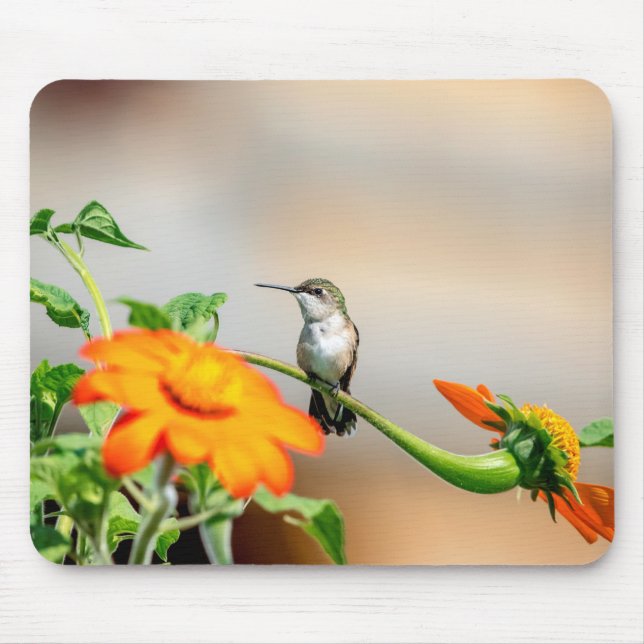 Hummingbird auf einer blühenden Pflanze Mousepad (Vorne)