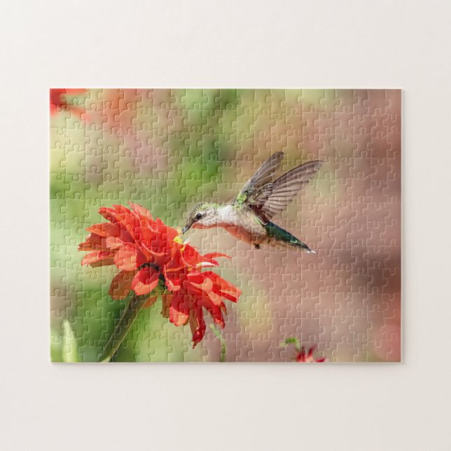Hummingbird auf einer blühenden Pflanze Puzzle (Horizontal)