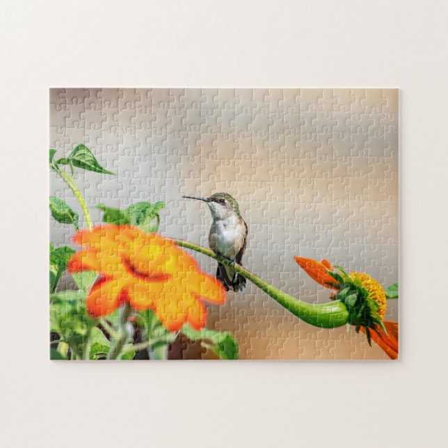 Hummingbird auf einer blühenden Pflanze Puzzle (Horizontal)