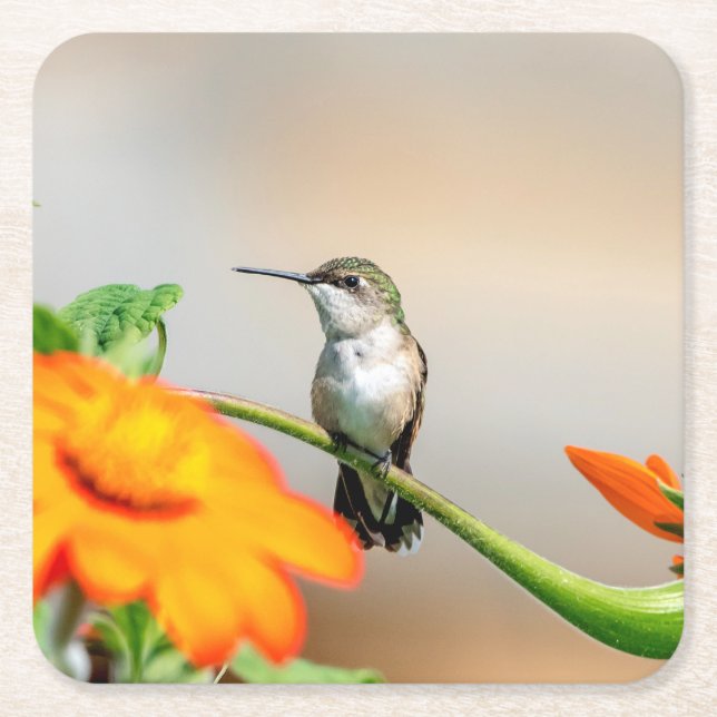 Hummingbird auf einer blühenden Pflanze Rechteckiger Pappuntersetzer (Vorderseite)