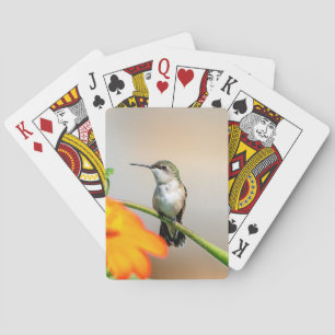 Hummingbird auf einer blühenden Pflanze Spielkarten