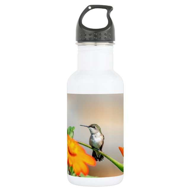 Hummingbird auf einer blühenden Pflanze Trinkflasche (Vorderseite)