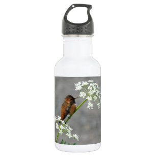 Hummingbird auf Königin Anns Spitzen-Blume Edelstahlflasche