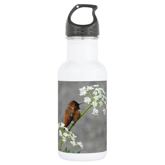 Hummingbird auf Königin Anns Spitzen-Blume Edelstahlflasche (Vorderseite)
