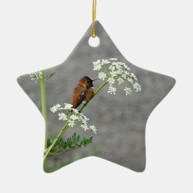 Hummingbird auf Königin Anns Spitzen-Blume Keramik Ornament (Vorne)