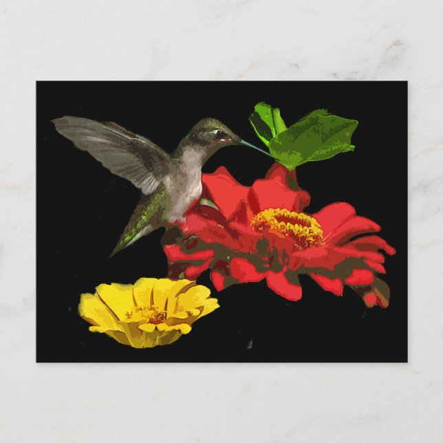 Hummingbird auf Zinnias Postkarte (Vorderseite)